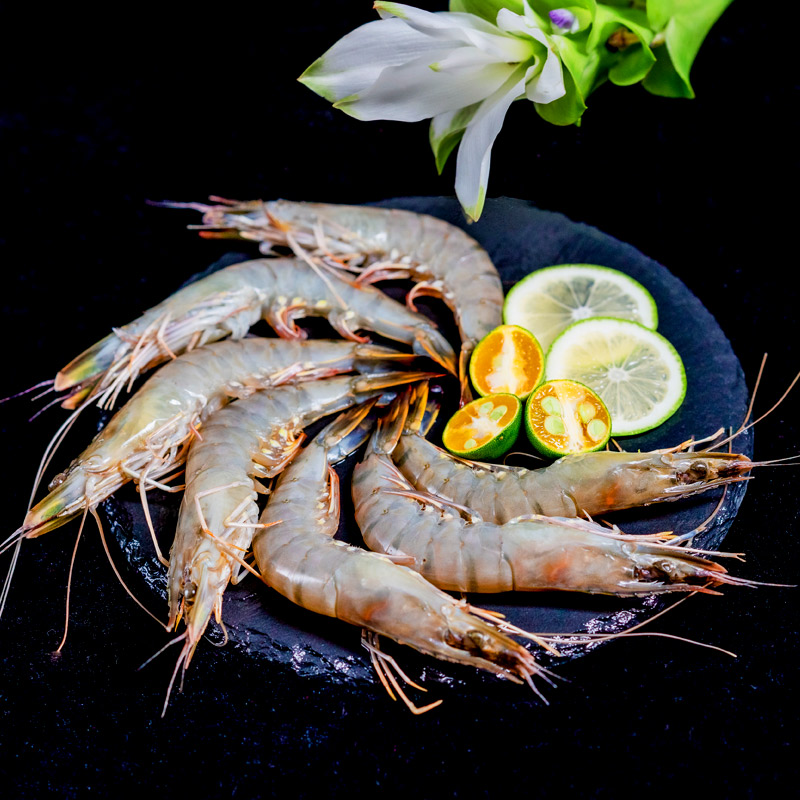 永沁 马达加斯加黑虎虾 2kg